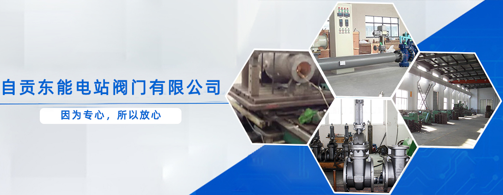自贡电站阀门
